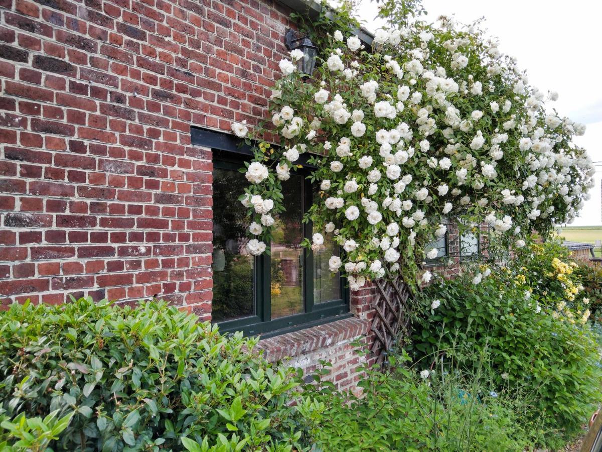 Villa Gite Rural Les Petites Tetes Leuze-en-Hainaut Exterior foto