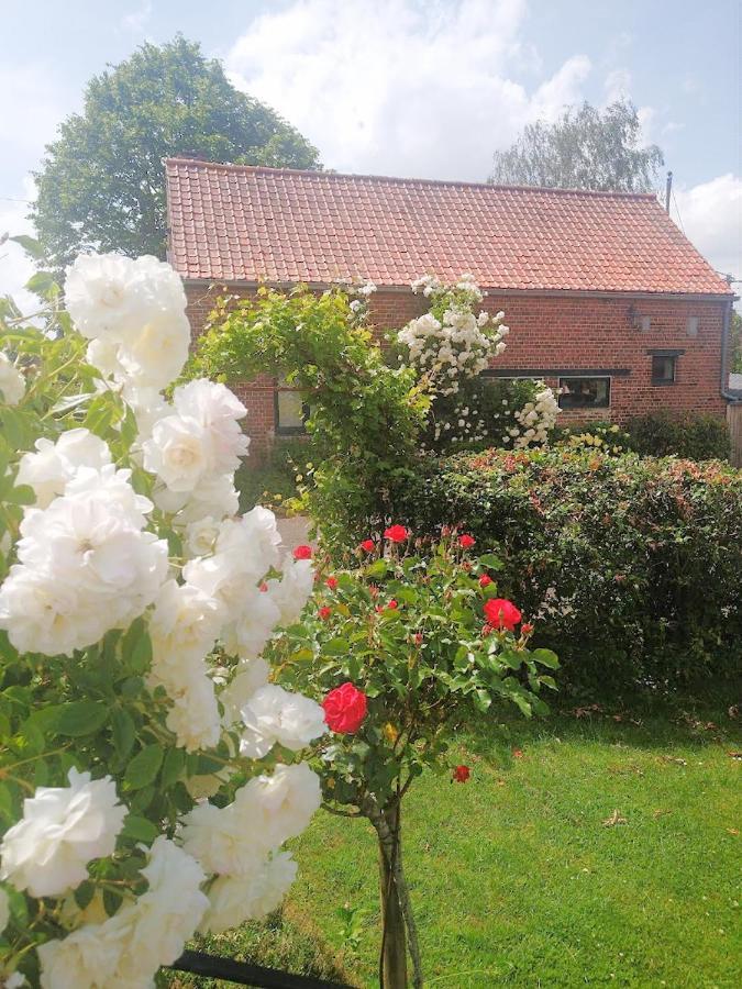 Villa Gite Rural Les Petites Tetes Leuze-en-Hainaut Exterior foto